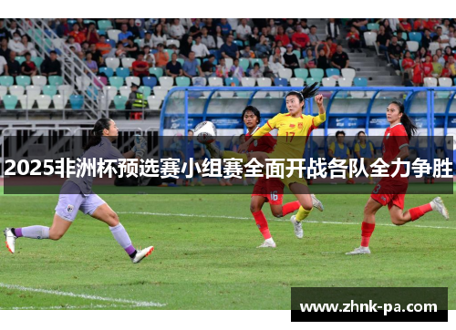 2025非洲杯预选赛小组赛全面开战各队全力争胜